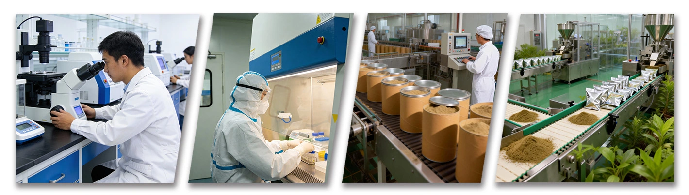 R&D Results R&D Results