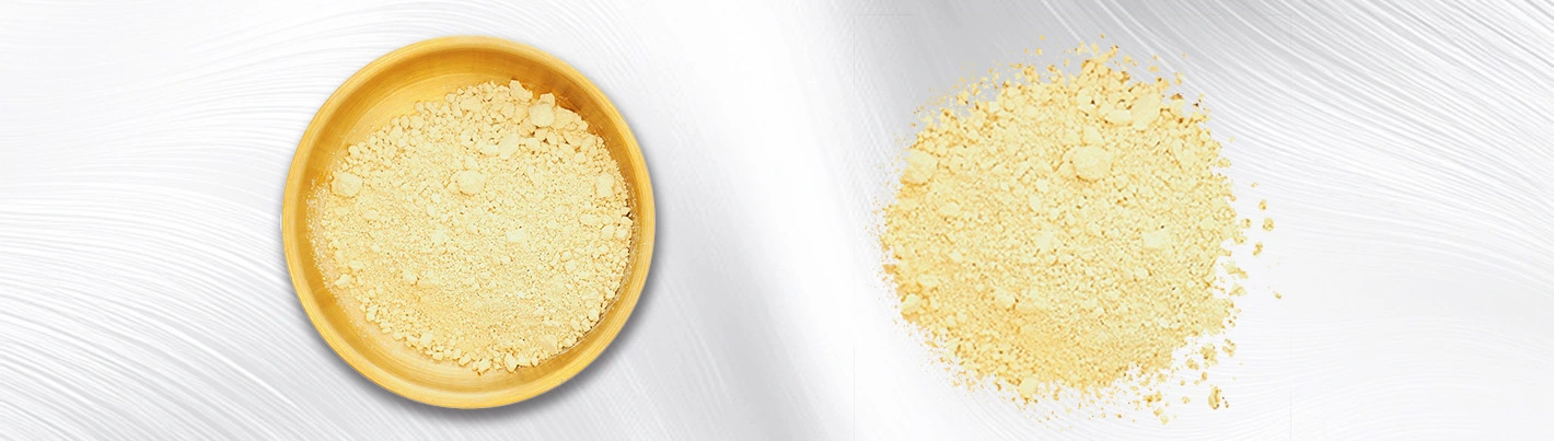 Scutellaria extract Scutellaria extract