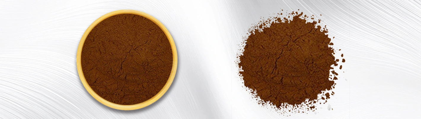 Fulvic Acid Powder Shilajit Extract Fulvic Acid Powder Shilajit Extract