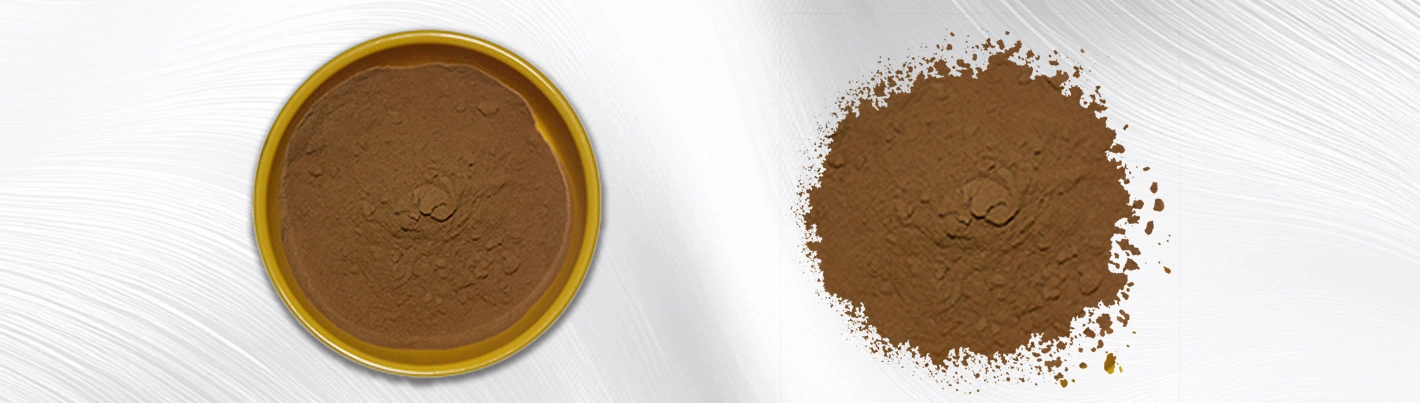 Miltiorrhiza Root Extract Powder