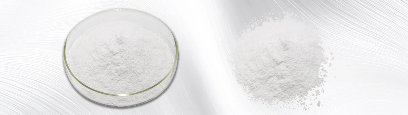 hydrolyzed rice extract