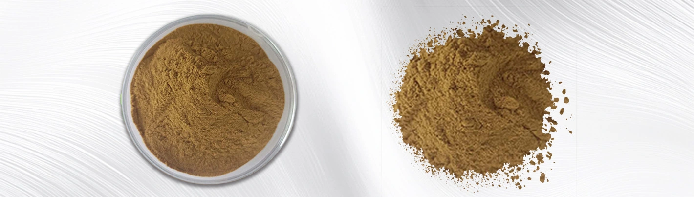Tribulus terrestris extract powder