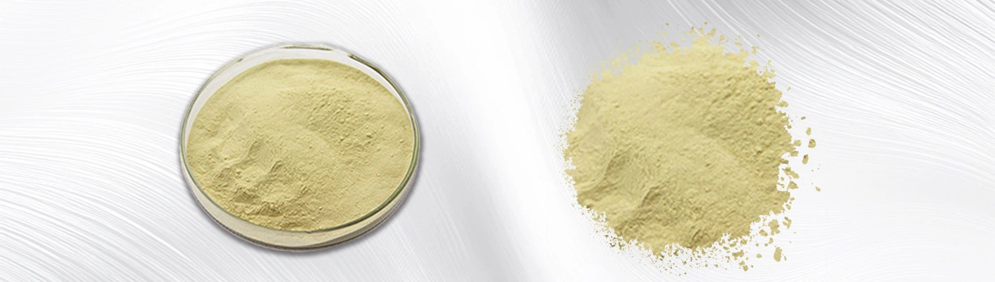 Ginseng plant extract Ginseng plant extract