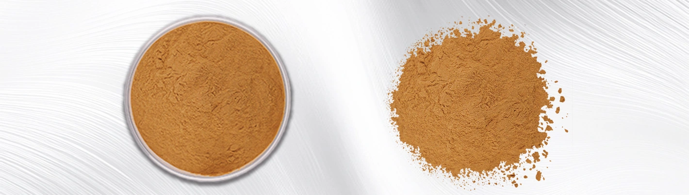 Apple peel extract powder Apple peel extract powder