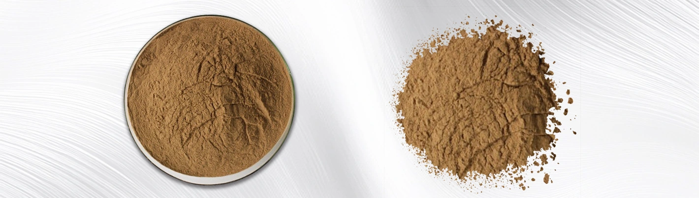 Rhizoma Chuanxiong Extract