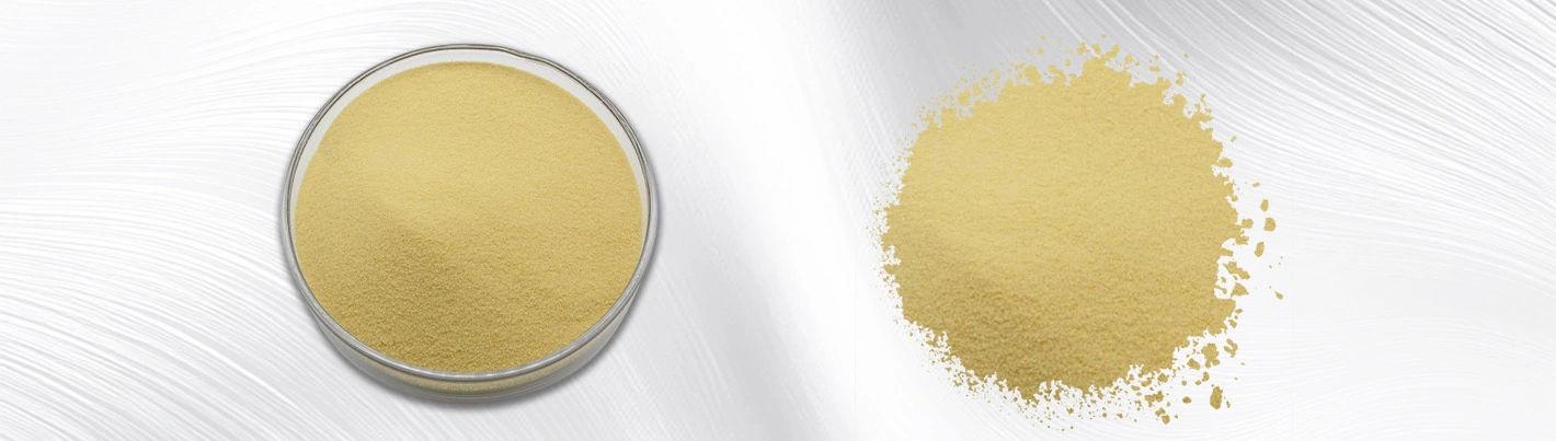 Garcinia Cambogia Extract Garcinia Cambogia Extract