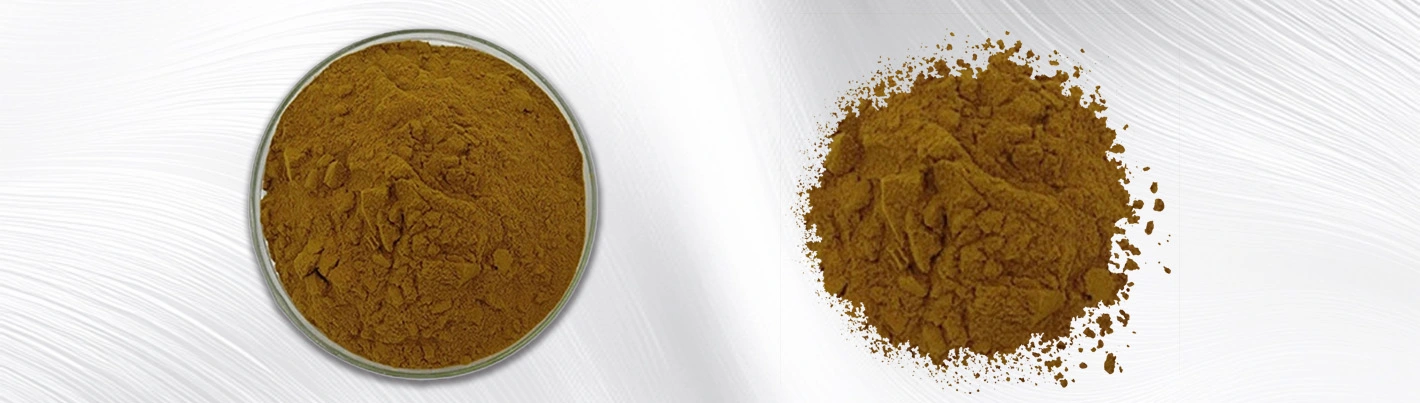 rosehip extract powder rosehip extract powder