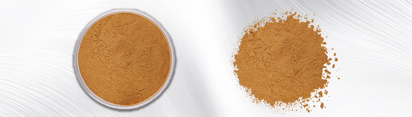 papaya leaf extract powder papaya leaf extract powder