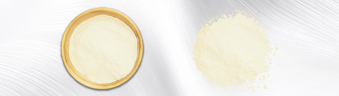 white kidney bean extract powder white kidney bean extract powder