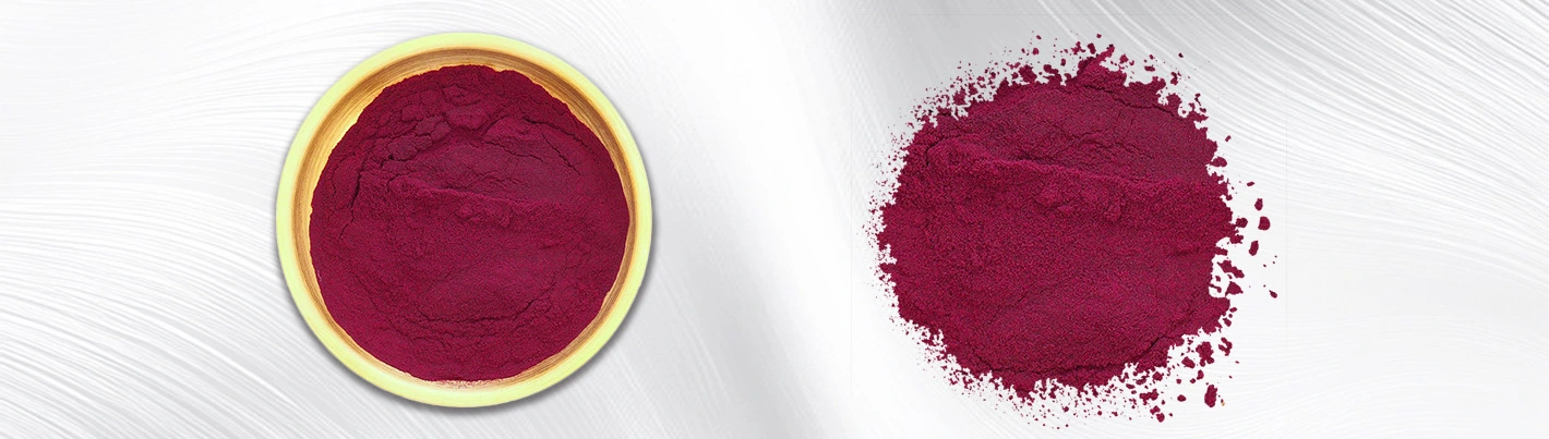 natural blueberry extract powder