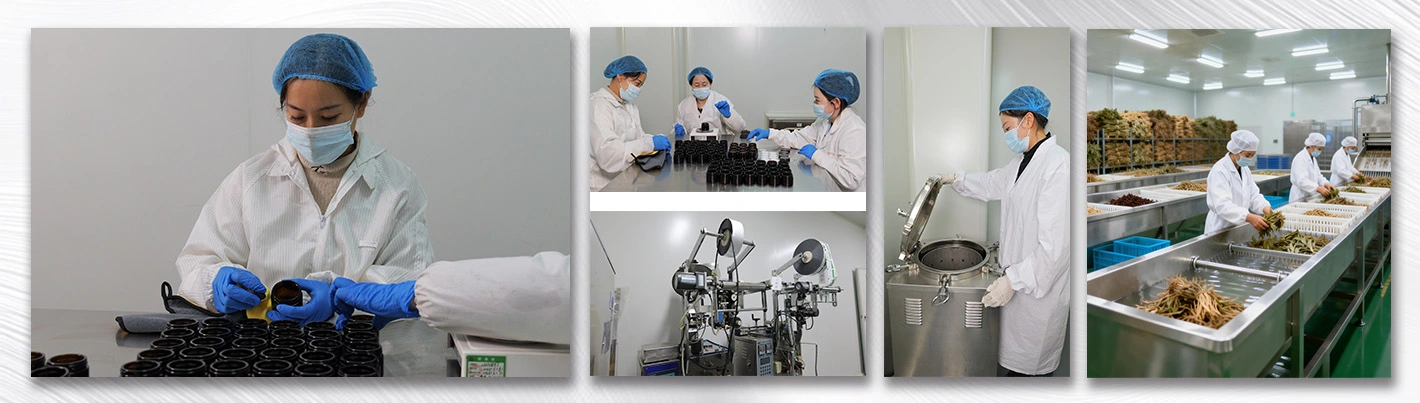 Ginseng fruit powder Why Choose Us