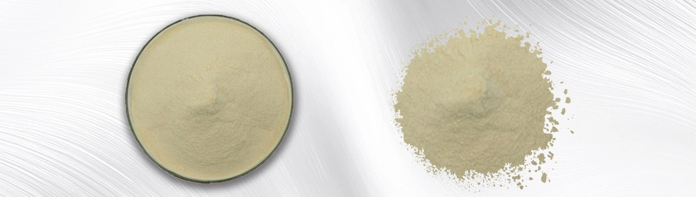 Broad bean powder Broad bean powder