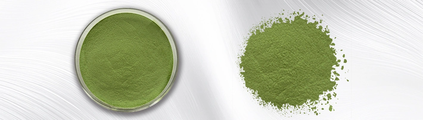 Spinach juice powder Spinach juice powder