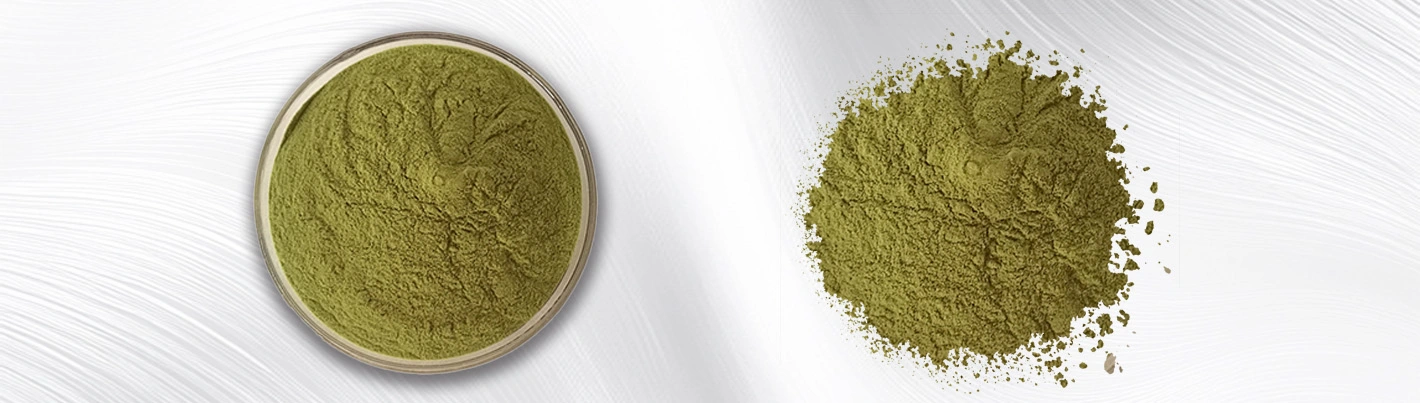 Purple alfalfa juice powder Purple alfalfa juice powder