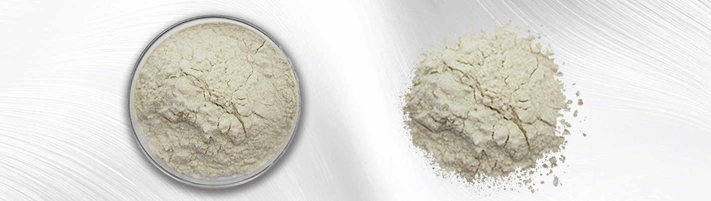 Snow lotus fruit powder