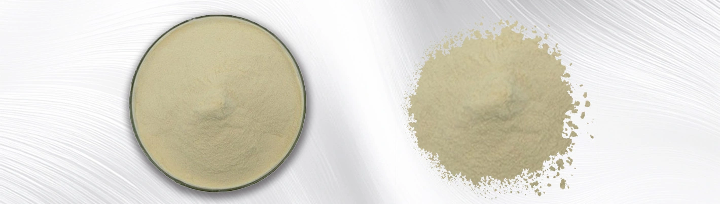 Banana juice powder Banana juice powder