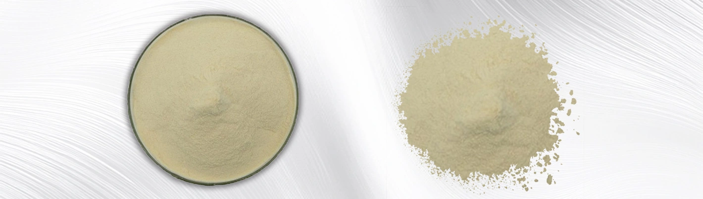 Liposomal Vitamin B9