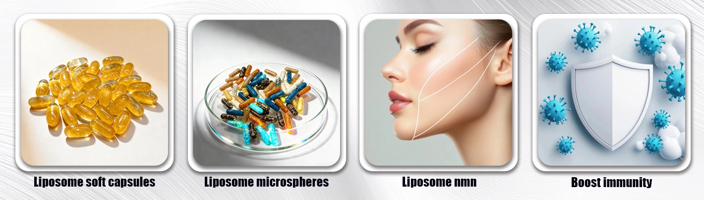 Liposomal Vitamin B9 Application Areas