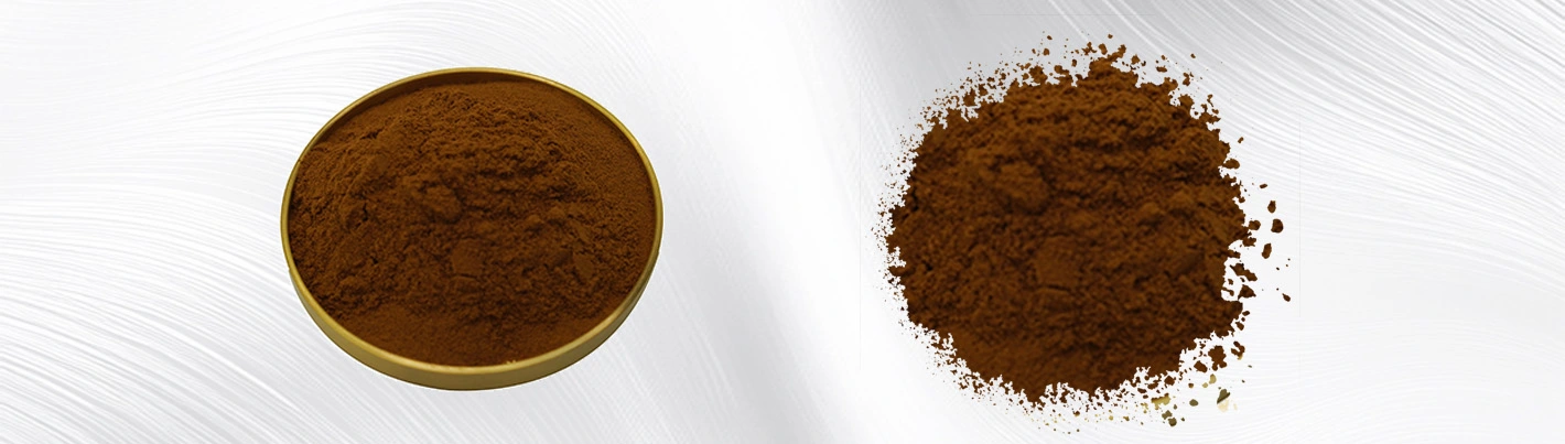 ganoderma extract powder
