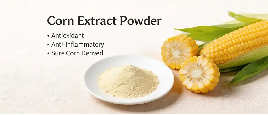 pure corn extract powder