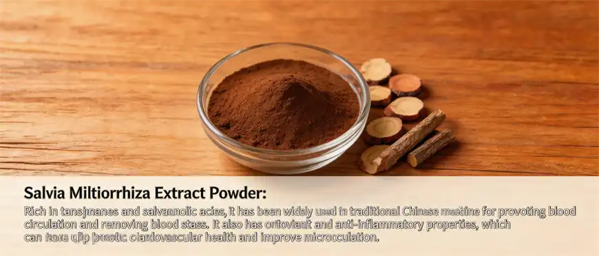 Miltiorrhiza Root Extract Powder Miltiorrhiza Root Extract Powder