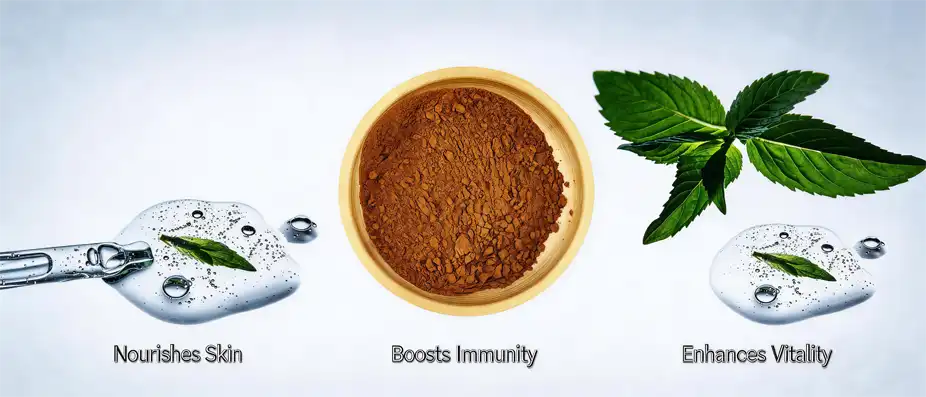 Indian herbal extracts Indian herbal extracts