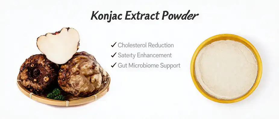 Konjac Flour Extract Konjac Flour Extract