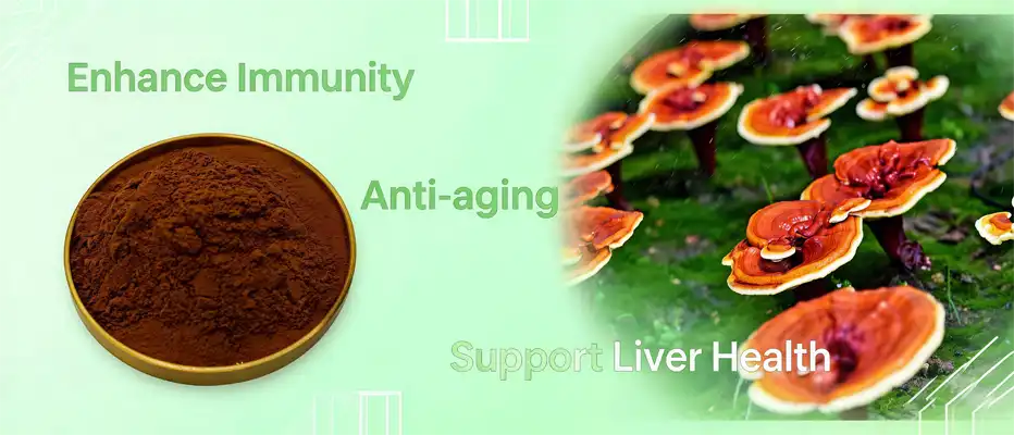 Ganoderma extract powder