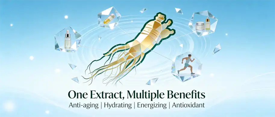 ginseng plant extract ginseng plant extract