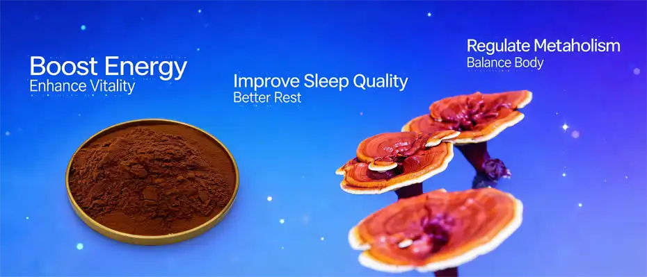 Ganoderma extract powder