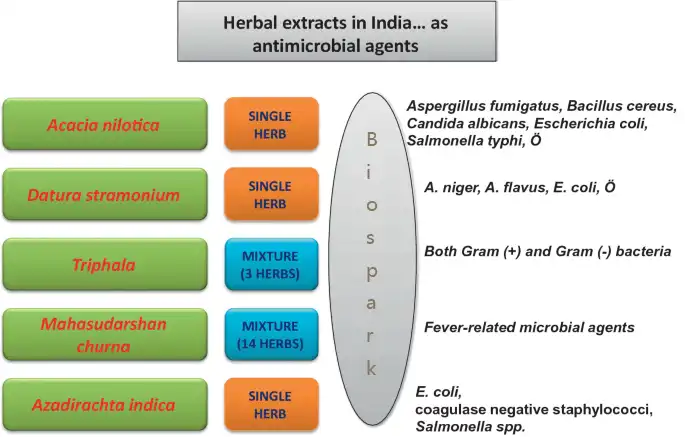Indian herbal extracts