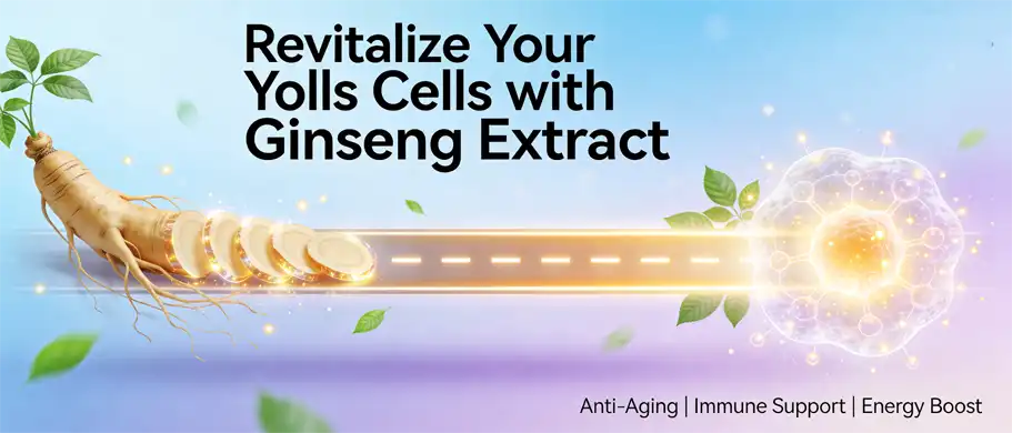 Ginseng plant extract