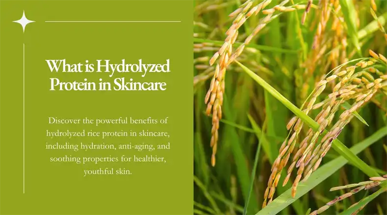 hydrolyzed rice extract hydrolyzed rice extract