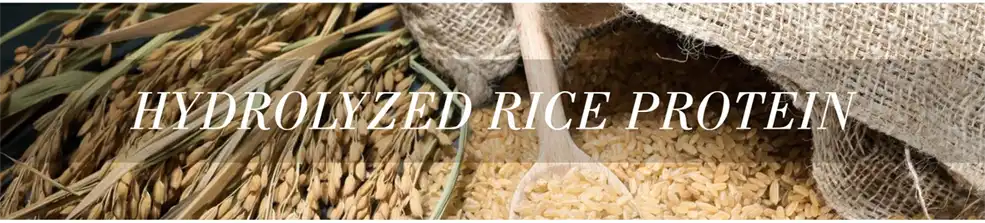 hydrolyzed rice extract hydrolyzed rice extract