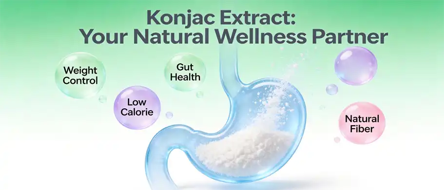 Konjac Flour Extract Konjac Flour Extract