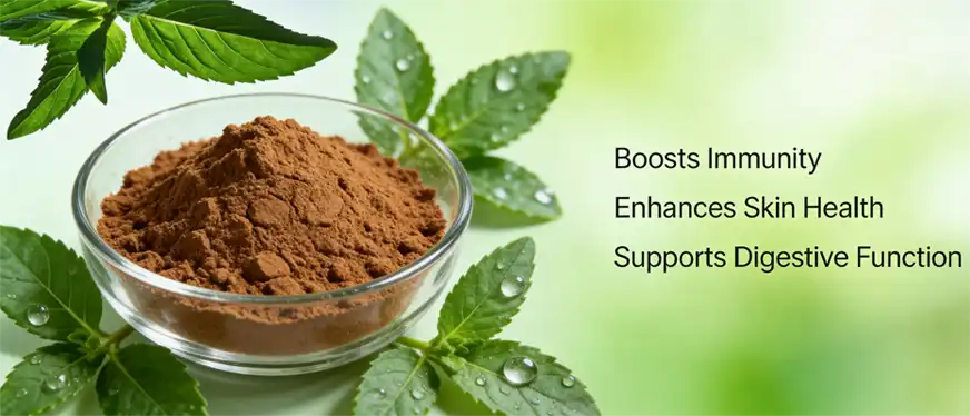 Indian herbal extracts
