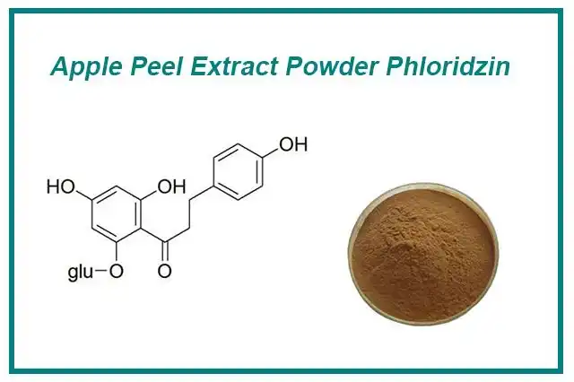 Apple peel extract powder