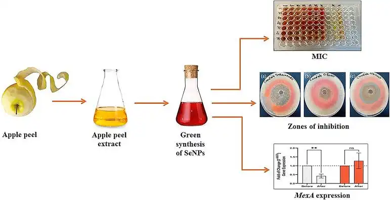 Apple peel extract powder