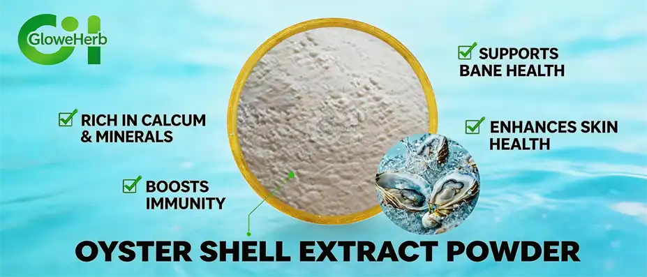 Oyster shell extract powder Oyster shell extract powder