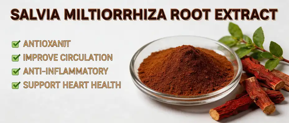 Miltiorrhiza Root Extract Powder Miltiorrhiza Root Extract Powder