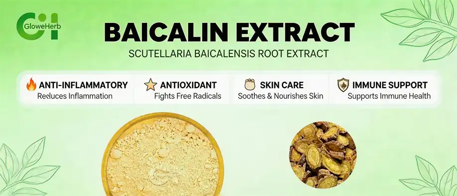 Baicalin extract