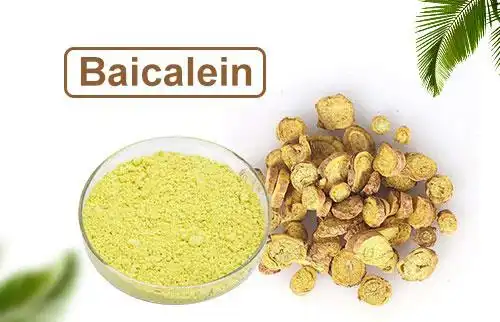 Baicalein extract