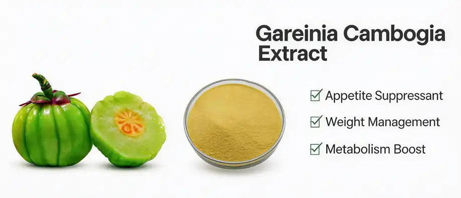 Garcinia Cambogia Extract