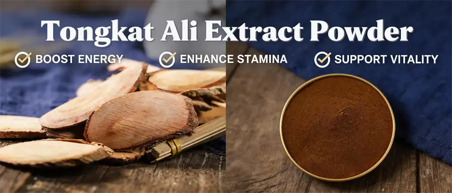 best Tongkat Ali extract powder best Tongkat Ali extract powder