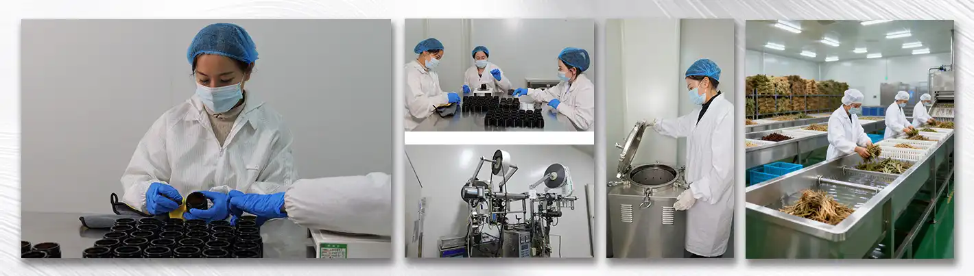 best Tongkat Ali extract powder best Tongkat Ali extract powder