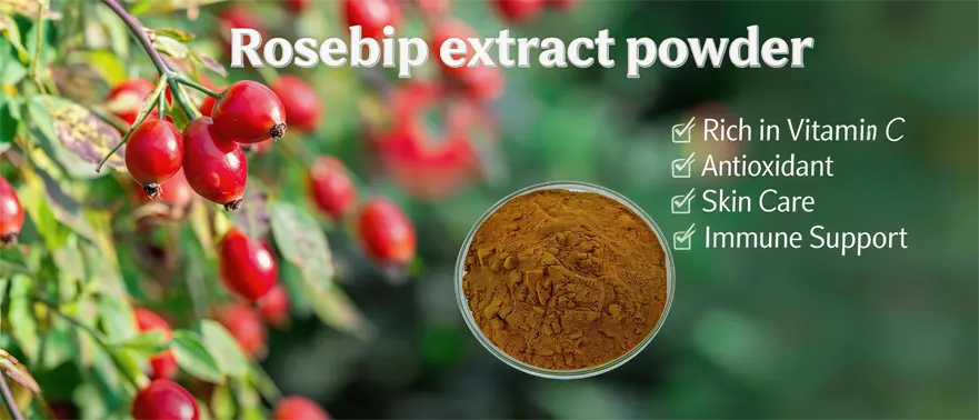 Rosehip extract powder Rosehip extract powder