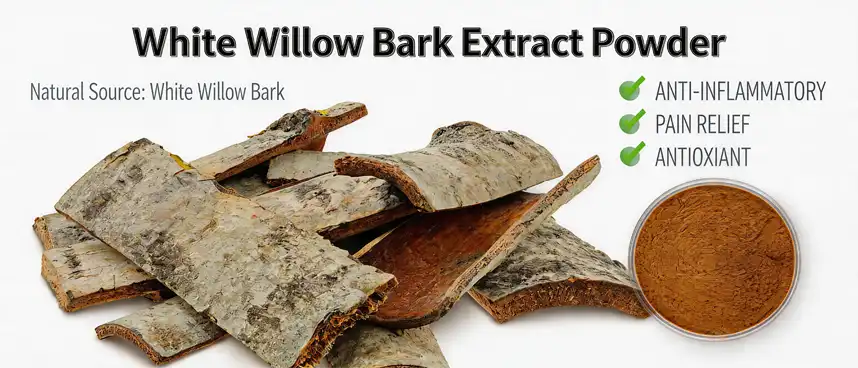 white willow bark extract powder white willow bark extract powder