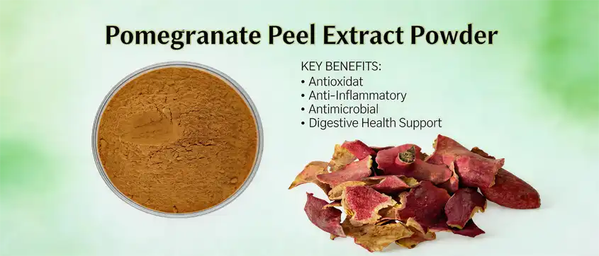 Pomegranate peel extract powder Pomegranate peel extract powder