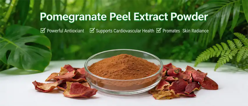 pomegranate seed extract powder pomegranate seed extract powder