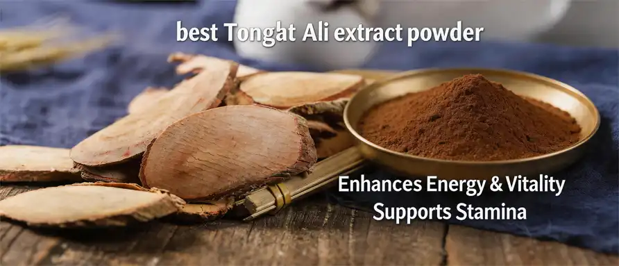 best Tongkat Ali extract powder
